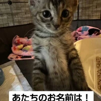 画像1179