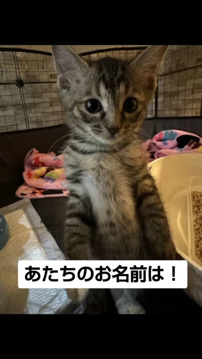 画像1179