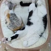 画像1181