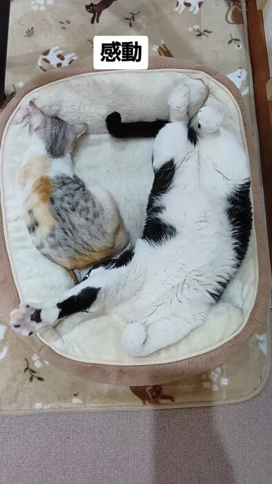 画像1181