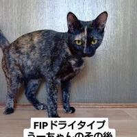 画像1185