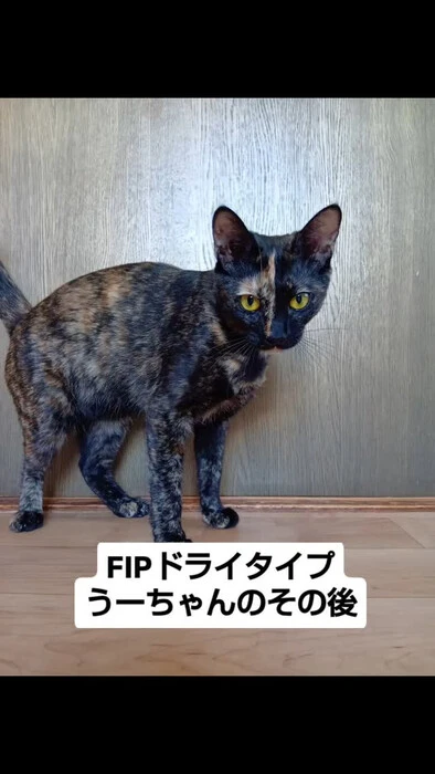 画像1185
