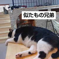画像1189