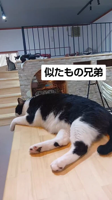画像1189