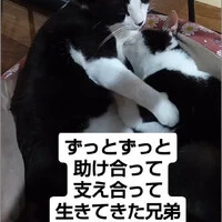 画像1191
