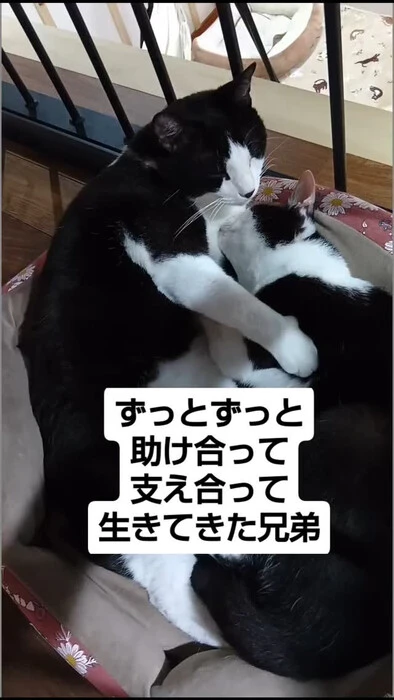 画像1191