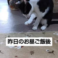 画像1193