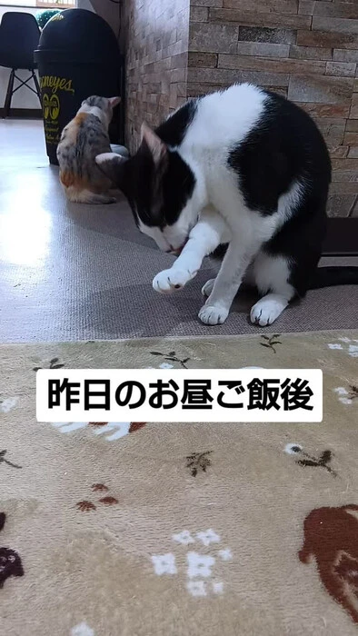 画像1193