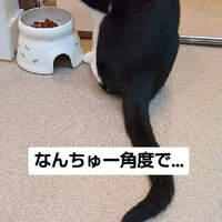 画像1195