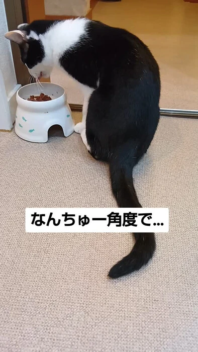 画像1195