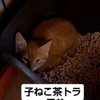 画像1197