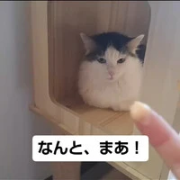 画像1199