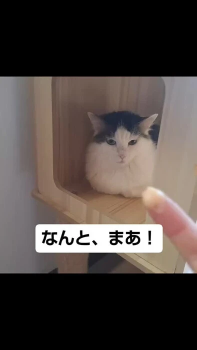 画像1199