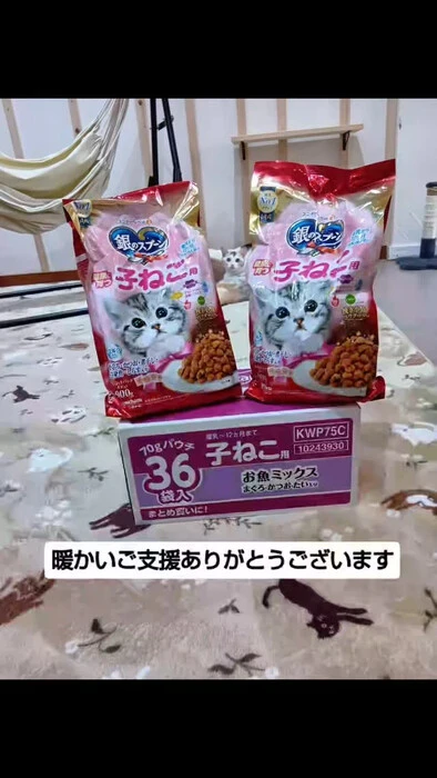 画像1201
