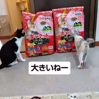 画像1203