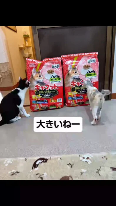 画像1203