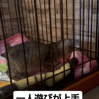 画像1205