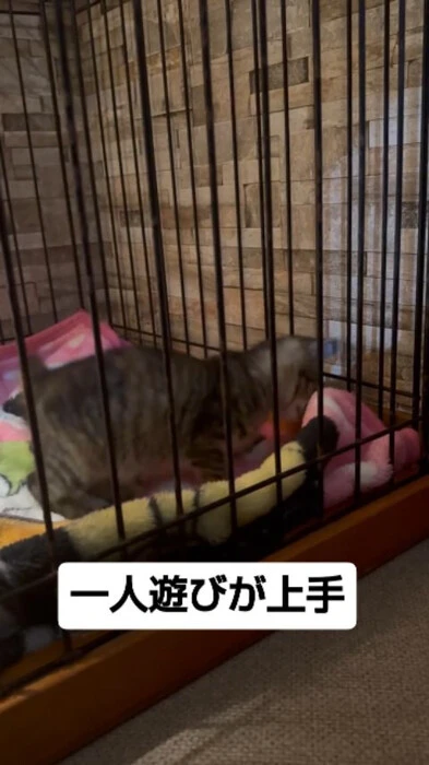 画像1205