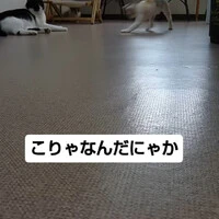 画像1207