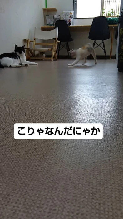 画像1207