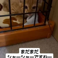 画像1209