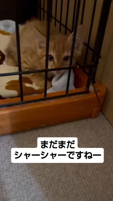 画像1209