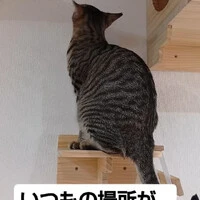 画像1213