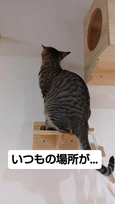画像1213