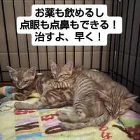 画像1215
