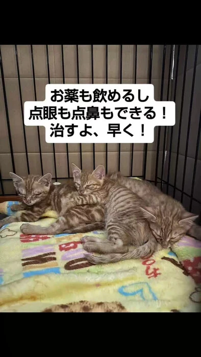 画像1215