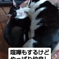 画像1219