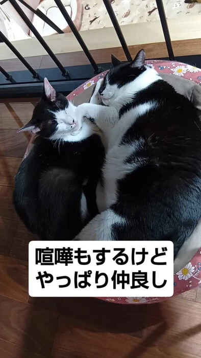 画像1219
