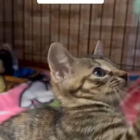 画像1221
