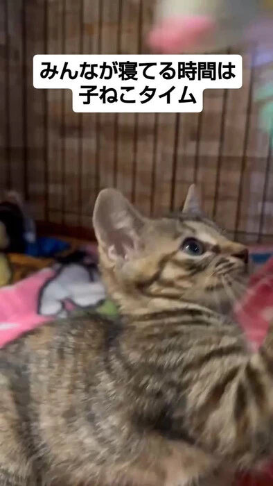 画像1221