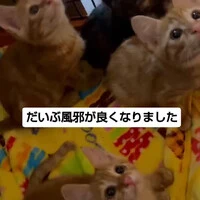 画像1223