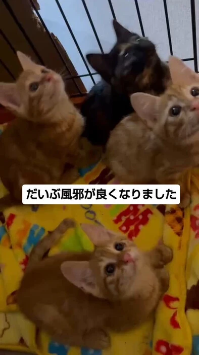 画像1223