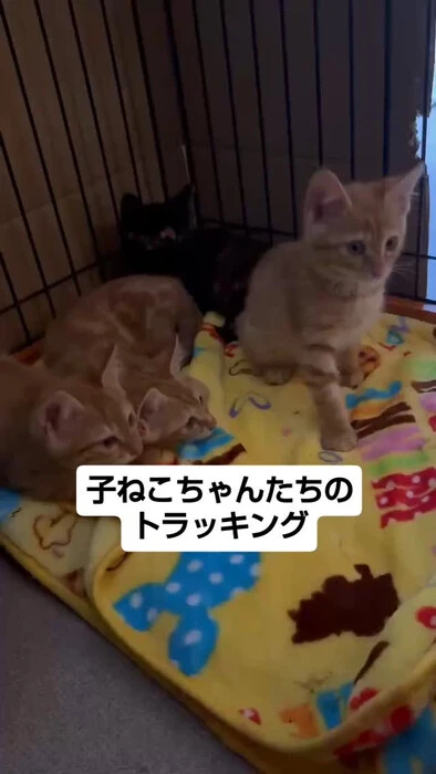 画像1225