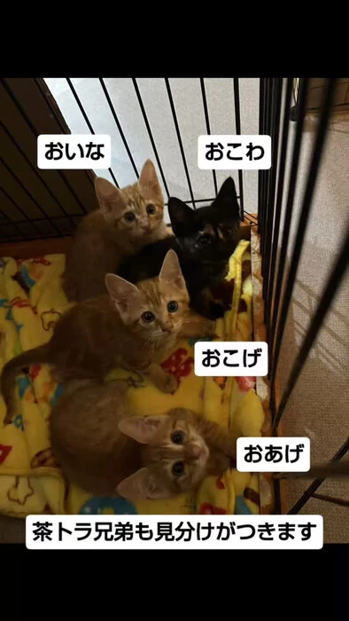 画像1227