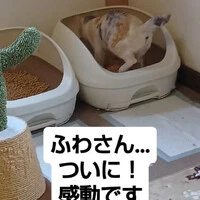 画像1229