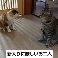 画像1235