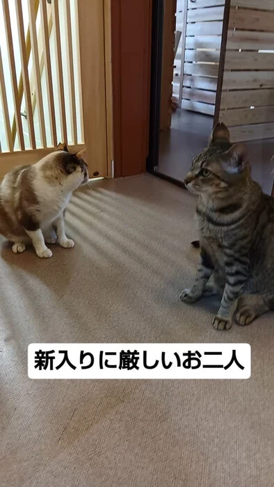 画像1235
