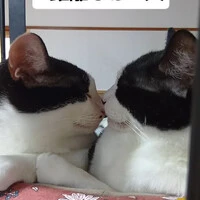 画像1237