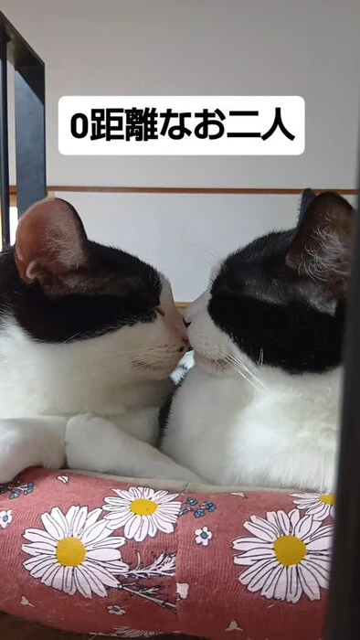 画像1237