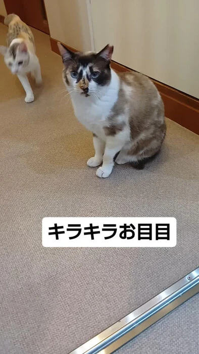 画像1241