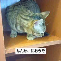 画像1245