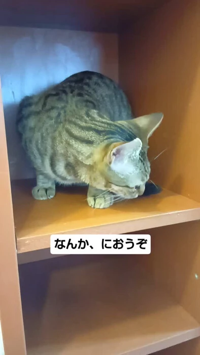 画像1245