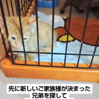 画像1249