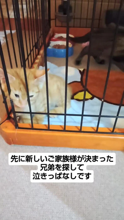 画像1249