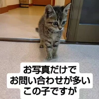 画像1251