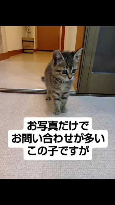 画像1251
